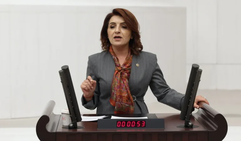 CHP’li Gülcan Kış, Mersin’deki eğitim sorunlarını TBMM gündemine taşıdı