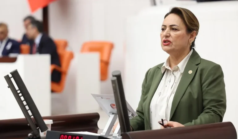 CHP’li Müzeyyen Şevkin’den Meclis’e barış çağrısı: TBMM Araştırma Komisyonu kurulsun