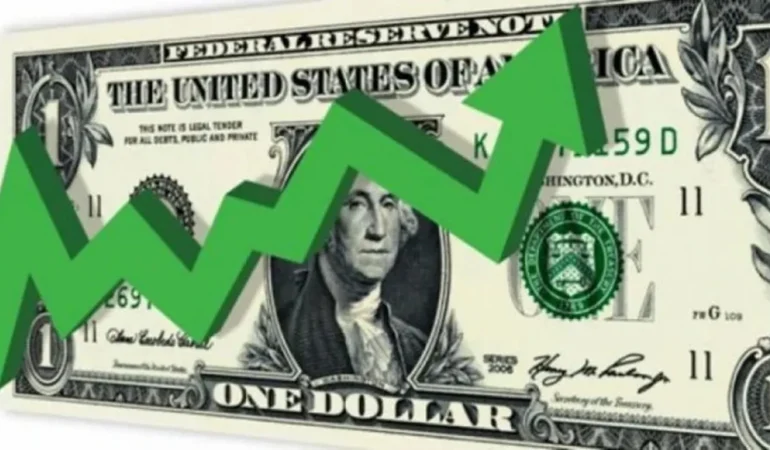 Döviz piyasasında rekor tazelendi: Dolar/TL 49 seviyesine ulaştı