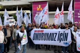 emekli3009