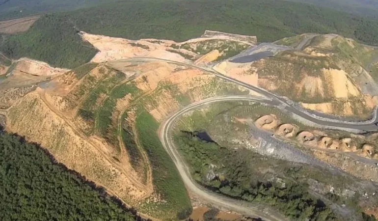 CHP’li Türeli’den orman kararına sert tepki: AKP’nin orman politikası rant dağıtma operasyonuna dönüştü