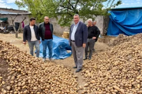 patates-gürer